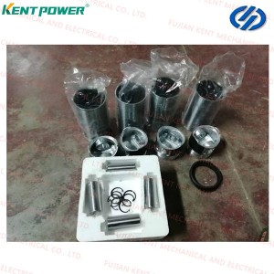 Yangdong Generator Parts